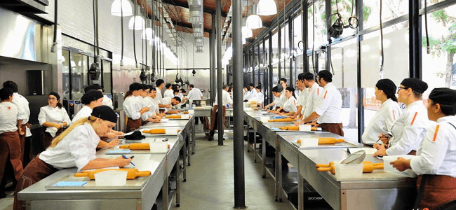 Práctica gastronómica en cocina profesional